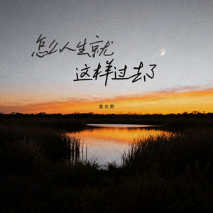 怎么人生就这样过去了 - 可遗憾终究比幸福更多男版 by 袁东野