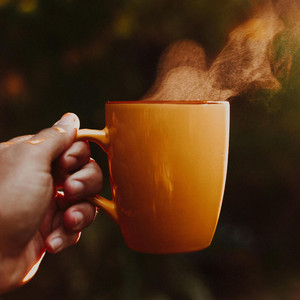 Morning