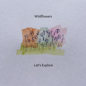 Wildflowers (felt piano) by Let's Explore