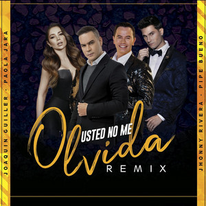 Usted No Me Olvida - Remix