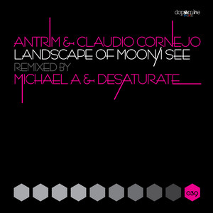I See - Desaturate 'Colourblind' Remix cover art