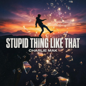 Stupid Thing Like That by Charlie Mak