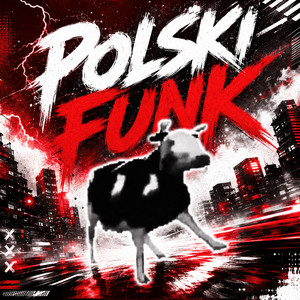 Polski Funk