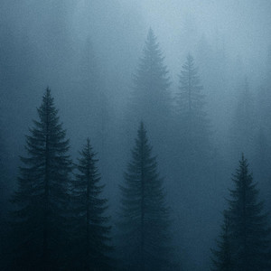 Deep Forest Ambience by Dewmere