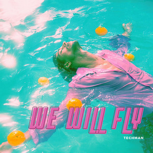 We Will Fly - Radio Edit by Techman