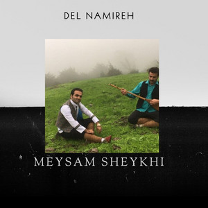 Meysam Sheykhi - Del Namireh
