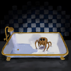 Spider in the bathtub by Alena