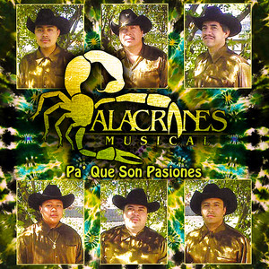 Pa' Que Son Pasiones