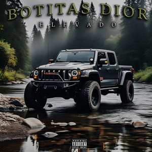Botitas Dior