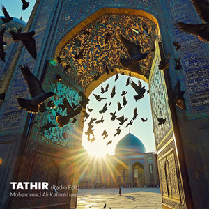 Mohammad Ali Karimkhani - Tathir (Radio Edit)