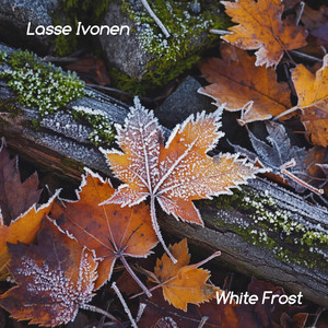 White Frost by Lasse Ivonen
