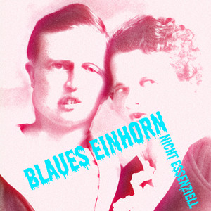 Blaues Einhorn cover