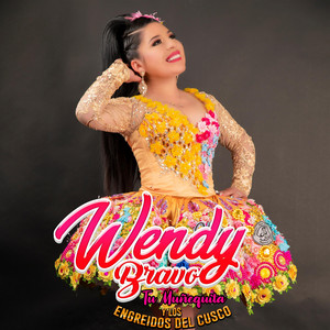Wendy Bravo - Mix Pallasquinita