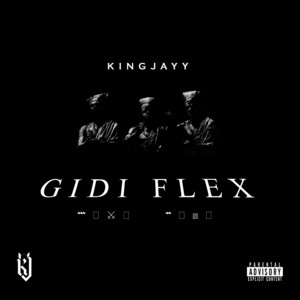 Portada de Gidi Flex