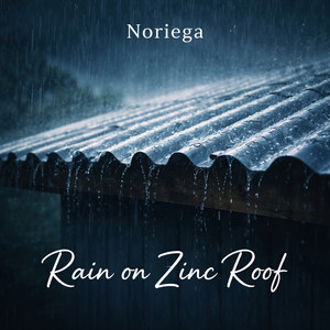 Rain on Zinc Roof