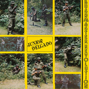 Rich man poor man - song and lyrics by Junior Delgado | Spotify