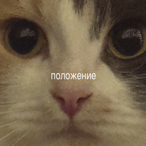 положение by умеренность