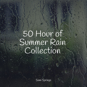 50 Hour of Summer Rain Collection album