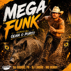 MEGA FUNK ESPECIAL OLHA O PORCO by DJ Gabriel PR, Dj Lindão, Mc Denny