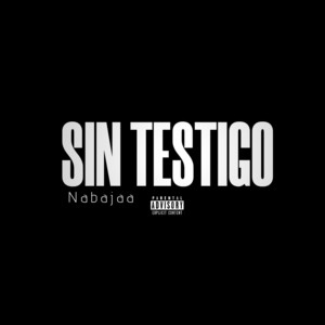 Sin testigo by Nabajaa