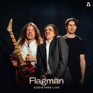 The Punishment Committee - Audiotree Live Version by Flagman, Audiotree