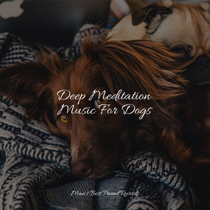 Deep Meditation Music For Dogs album