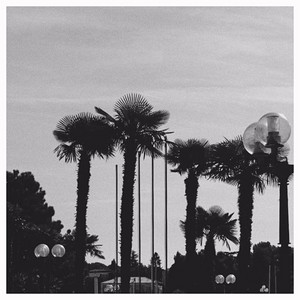 Tropical by Rudy Raw