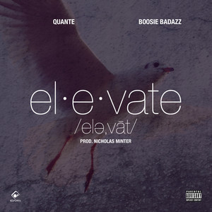 Quante MR R & B - ELEVATE
