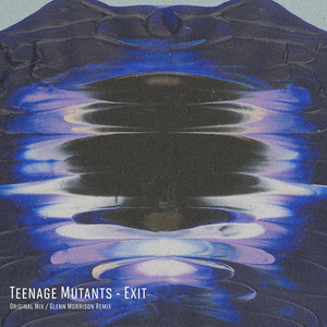 Exit cover art