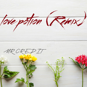 Love Potion - Remix by MR CREDIT