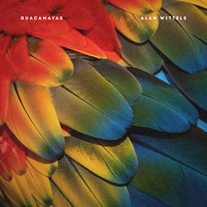 Guacamayas by Alan Wittels