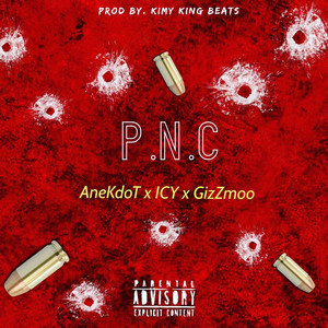 Portada de P.N.C