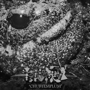 Lilliiputiaen Microhylid Mammal Vitiation by Phyllomedusa