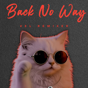 Back No Way by Vel Remixer