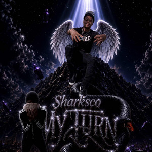 Rest Up Beesco by Sharksco