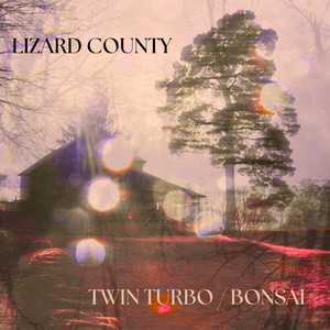 Twin Turbo by Lizard County