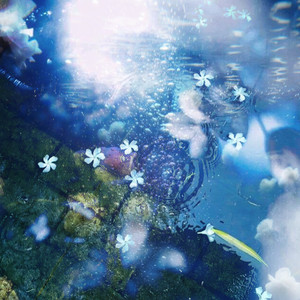 ever since the rains - slowed by Aeriu Ika, zxmablue