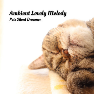 Ambient Lovely Melody: Pets Silent Dreamer album