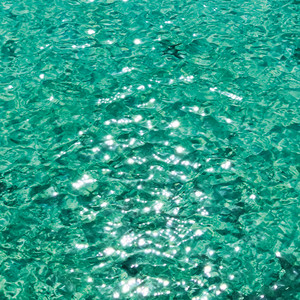 Corrina Joseph artist photo