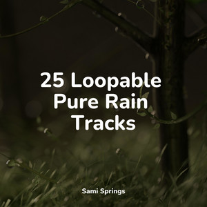 25 Loopable Pure Rain Tracks album