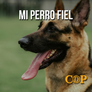 Mi perro fiel