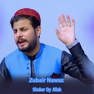 Zubair Nawaz - Preda chay loazoona