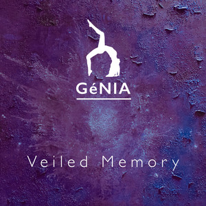 Veiled Memory