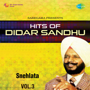 Bibi Kiven Tikayi Ae by Didar Sandhu, Snehlata