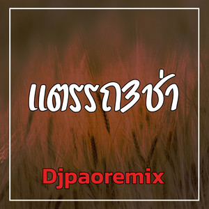 Djpaoremix - แตรรถ3ช่า