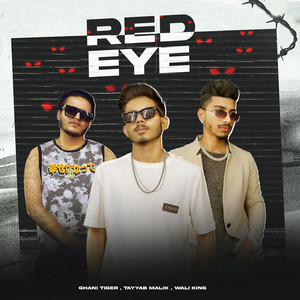 Red Eye (feat. Tayyab Malik, Wali King)
