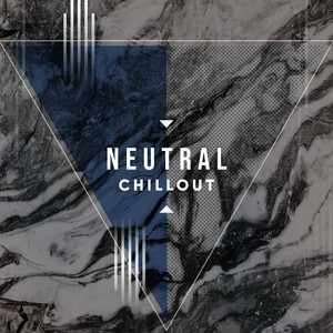 # 1 A 2019 Album: Neutral Chillout album