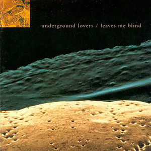 Leaves Me Blind cover