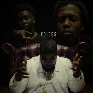 Portada de Voices