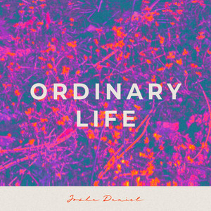 Ordinary Life by Josha Daniel